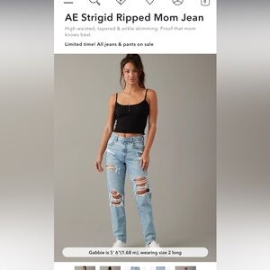 AE Sturgid Ripped Mom Jeans (12)